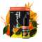 Punch 15ml Citrus Blast